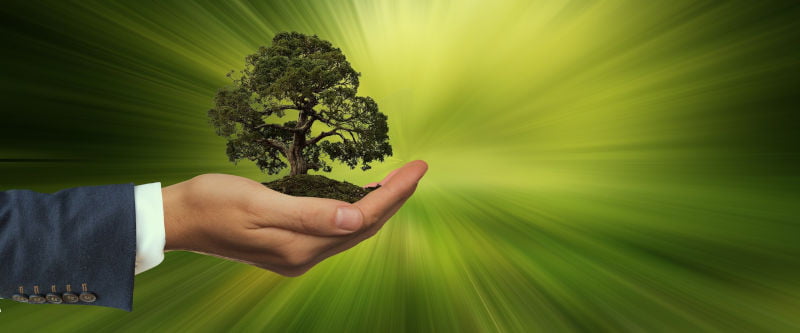 Uma mão em forma de concha segura uma árvore. Proteção Ambiental. Imagem: Pixabay