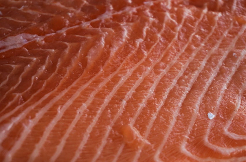 Salmão cultivado versus salmão selvagem