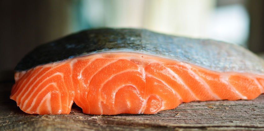 Salmão cultivado versus salmão selvagem