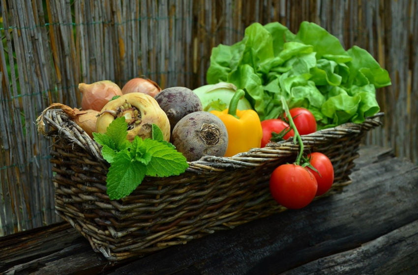 Tabela Periódica dos Vegetais